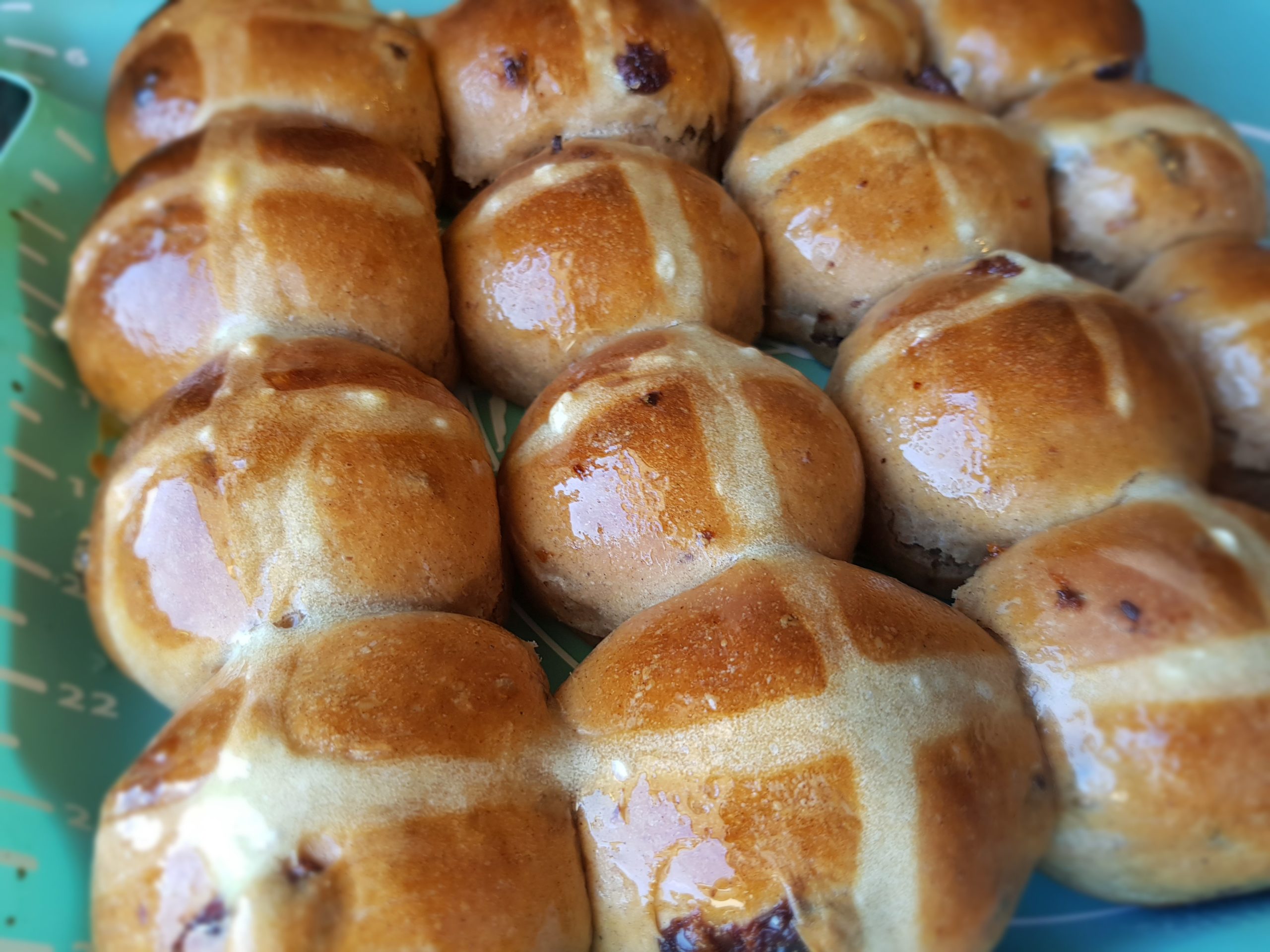 HOT CROSS BUNS